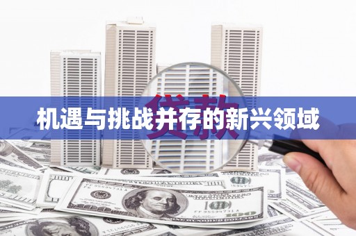 岱岳机遇与挑战并存的新兴领域