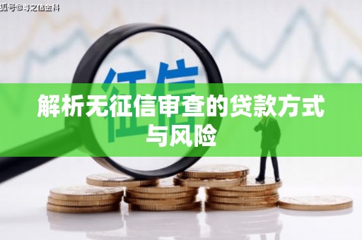 岱岳解析无征信审查的贷款方式与风险