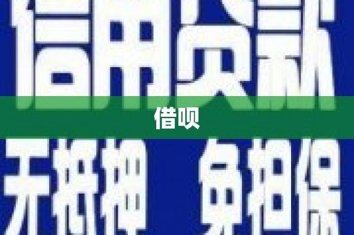 岱岳借呗