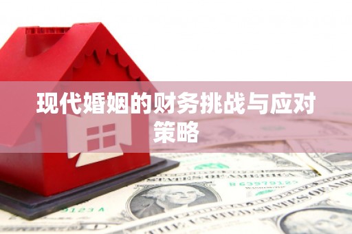 岱岳现代婚姻的财务挑战与应对策略
