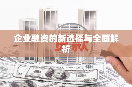 岱岳企业融资的新选择与全面解析