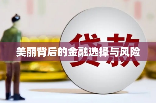 岱岳美丽背后的金融选择与风险