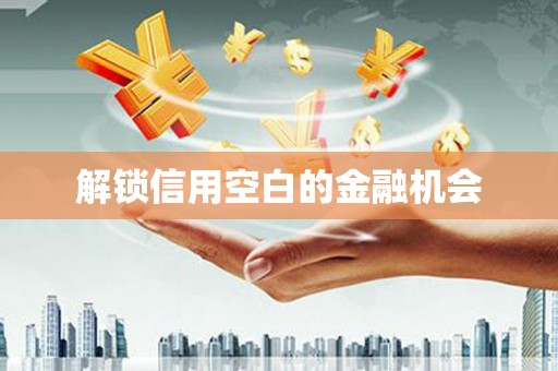 岱岳解锁信用空白的金融机会