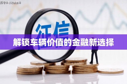 岱岳解锁车辆价值的金融新选择