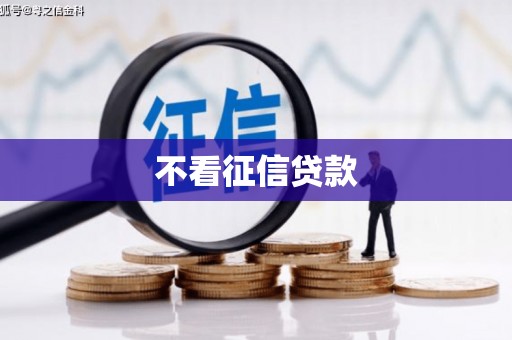 岱岳不看征信贷款