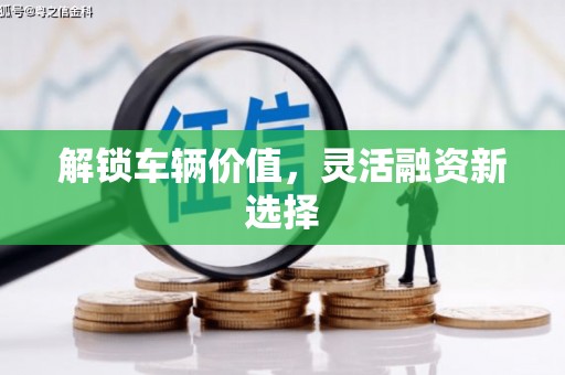 岱岳解锁车辆价值，灵活融资新选择