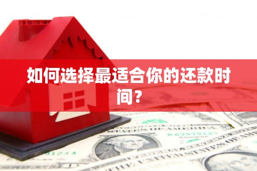 岱岳如何选择最适合你的还款时间？