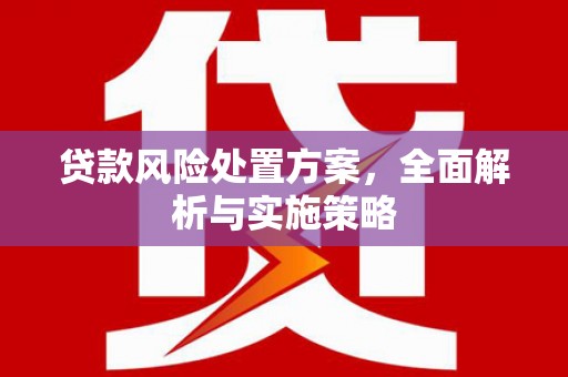 岱岳贷款风险处置方案，全面解析与实施策略