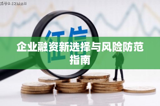 岱岳企业融资新选择与风险防范指南