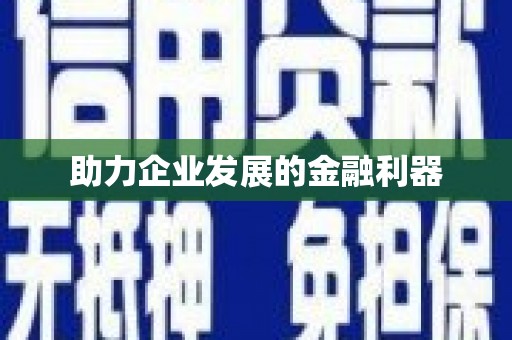 岱岳助力企业发展的金融利器