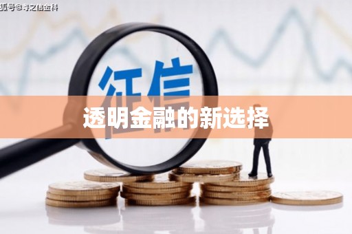 岱岳透明金融的新选择