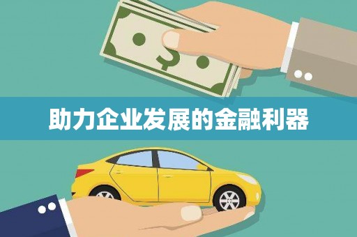 岱岳助力企业发展的金融利器
