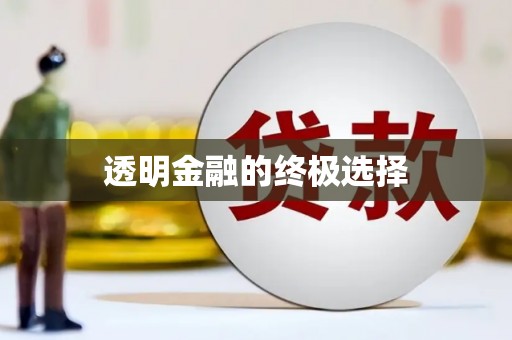 岱岳透明金融的终极选择