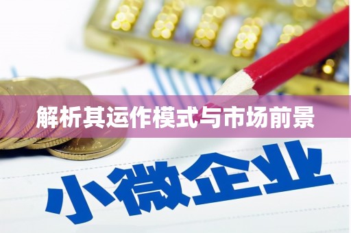 岱岳解析其运作模式与市场前景