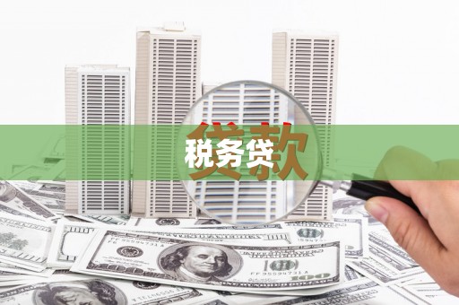 岱岳税务贷
