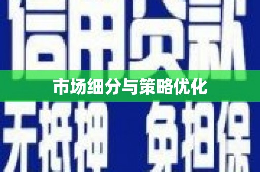 岱岳市场细分与策略优化
