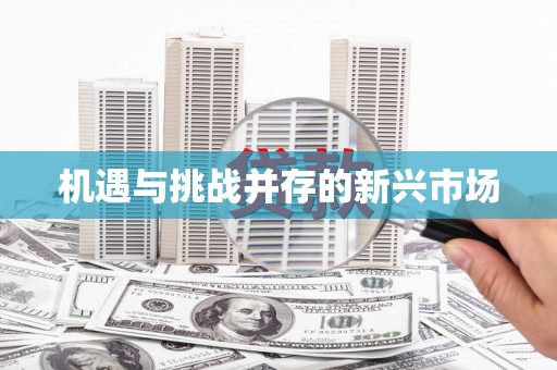 岱岳机遇与挑战并存的新兴市场