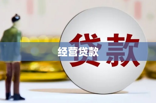 岱岳经营贷款