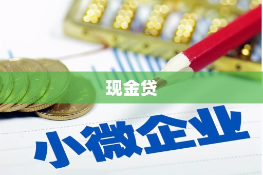 岱岳现金贷
