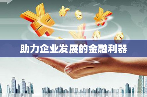 岱岳助力企业发展的金融利器
