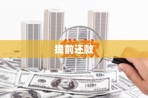 岱岳提前还款