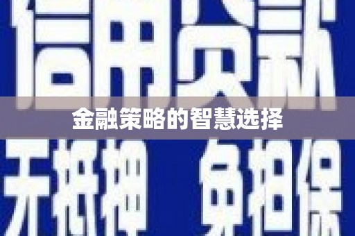 岱岳金融策略的智慧选择