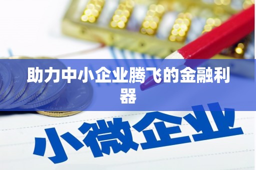 岱岳助力中小企业腾飞的金融利器