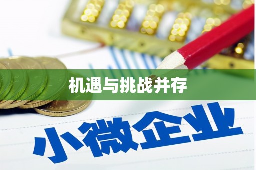 岱岳机遇与挑战并存