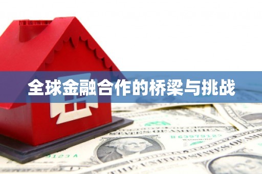 岱岳全球金融合作的桥梁与挑战