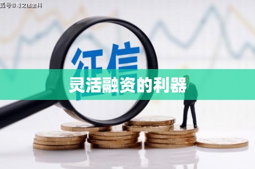 岱岳灵活融资的利器