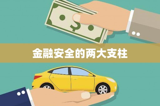 岱岳金融安全的两大支柱