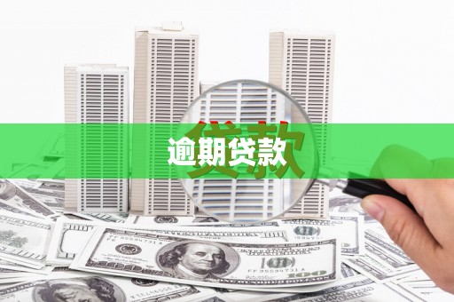 岱岳逾期贷款