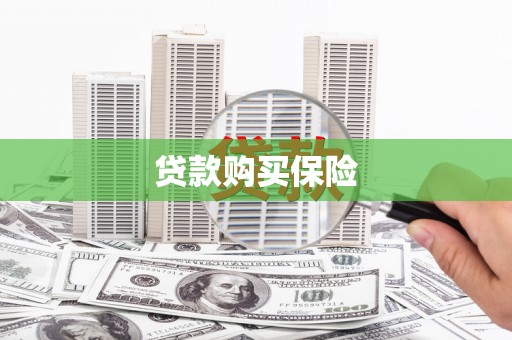 岱岳贷款购买保险