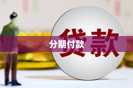 岱岳分期付款