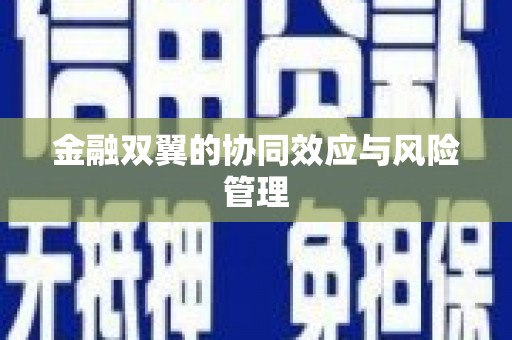 岱岳金融双翼的协同效应与风险管理