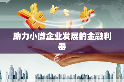 岱岳助力小微企业发展的金融利器