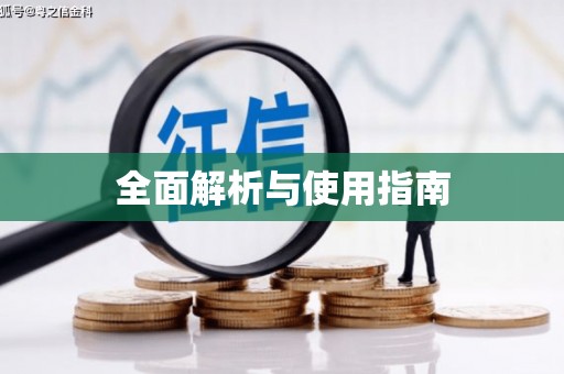 岱岳全面解析与使用指南