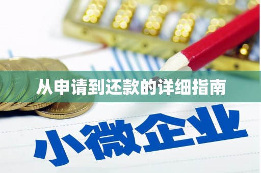 岱岳从申请到还款的详细指南