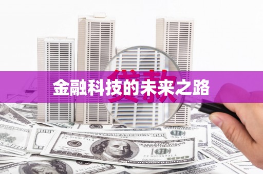 岱岳金融科技的未来之路