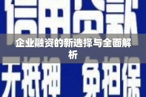 岱岳企业融资的新选择与全面解析