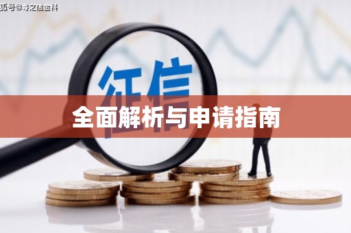 岱岳全面解析与申请指南