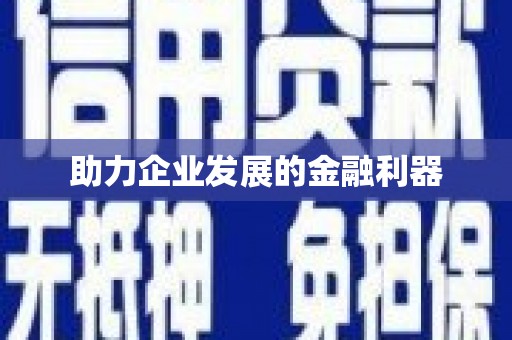 岱岳助力企业发展的金融利器