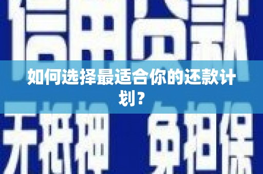 岱岳如何选择最适合你的还款计划？