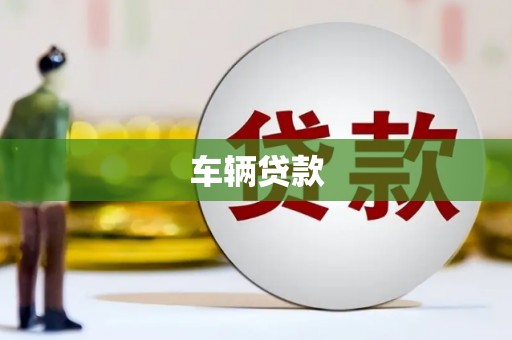 岱岳车辆贷款