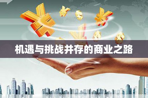 岱岳机遇与挑战并存的商业之路