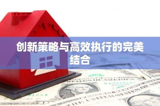 岱岳创新策略与高效执行的完美结合
