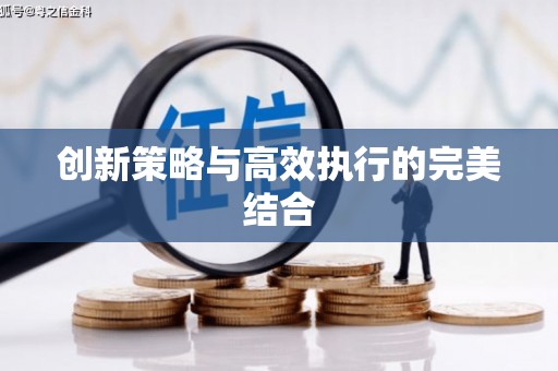 岱岳创新策略与高效执行的完美结合