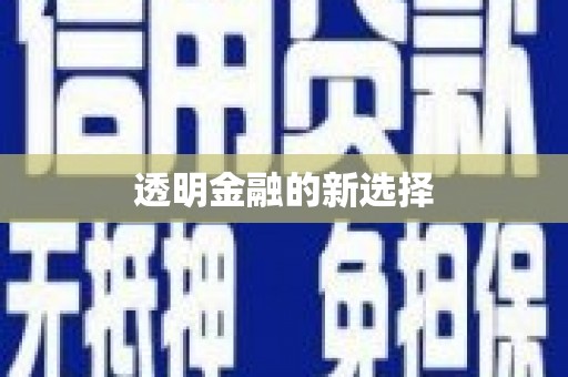 岱岳透明金融的新选择
