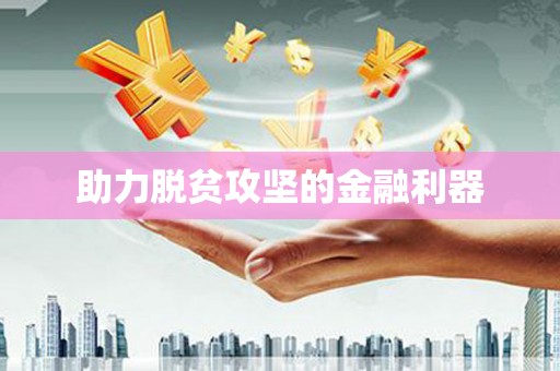 岱岳助力脱贫攻坚的金融利器