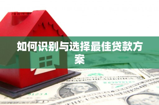 岱岳如何识别与选择最佳贷款方案